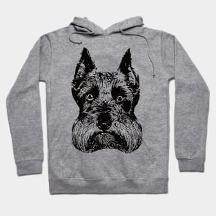 Schnauzer Face Hoodie